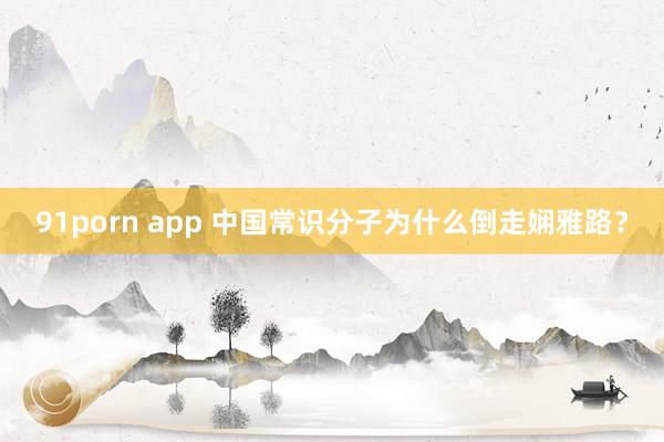 91porn app 中国常识分子为什么倒走娴雅路？