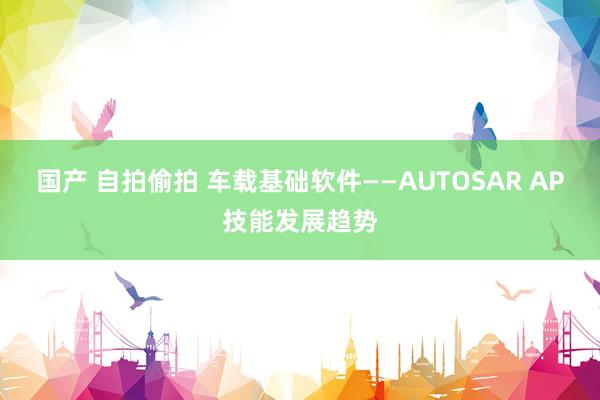 国产 自拍偷拍 车载基础软件——AUTOSAR AP技能发展趋势