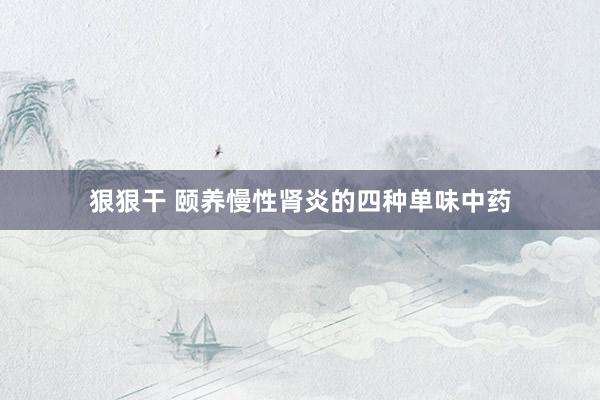 狠狠干 颐养慢性肾炎的四种单味中药