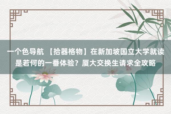 一个色导航 【拾器格物】在新加坡国立大学就读是若何的一番体验？厦大交换生请求全攻略