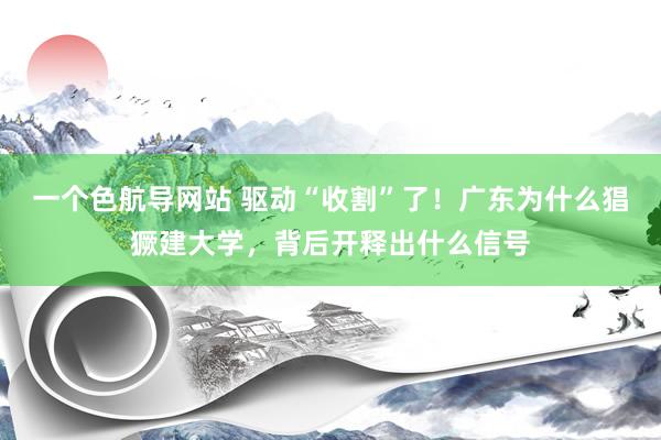 一个色航导网站 驱动“收割”了！广东为什么猖獗建大学，背后开释出什么信号