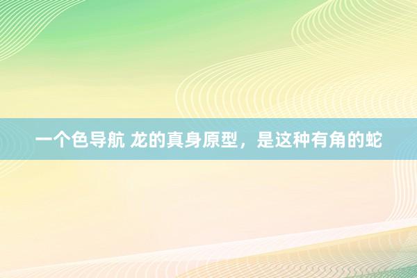 一个色导航 龙的真身原型，是这种有角的蛇