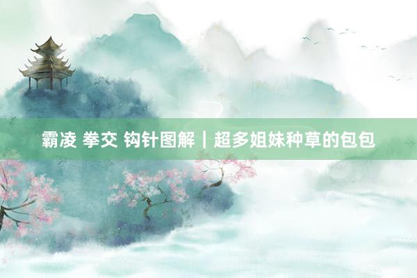 霸凌 拳交 钩针图解｜超多姐妹种草的包包