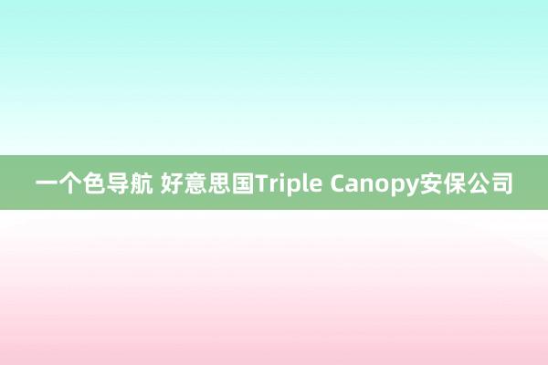 一个色导航 好意思国Triple Canopy安保公司