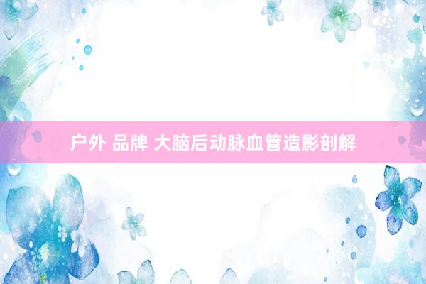 户外 品牌 大脑后动脉血管造影剖解