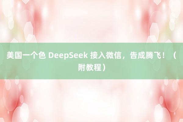 美国一个色 DeepSeek 接入微信，告成腾飞！（附教程）