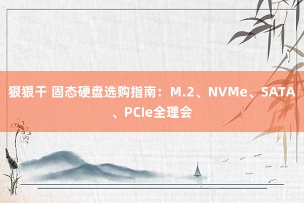 狠狠干 固态硬盘选购指南：M.2、NVMe、SATA、PCIe全理会