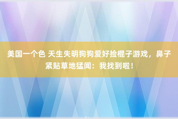 美国一个色 天生失明狗狗爱好捡棍子游戏，鼻子紧贴草地猛闻：我找到啦！